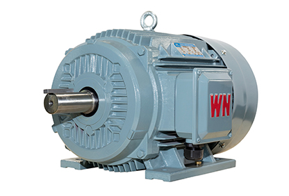 TYCP2系列三相變頻驅動永磁同步電動機 TYCP2系列三相變頻驅動永磁同步電動機